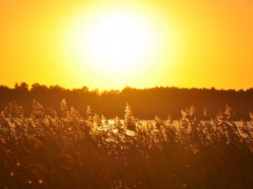 Краса Пісочного озера на знімках місцевого фотографа