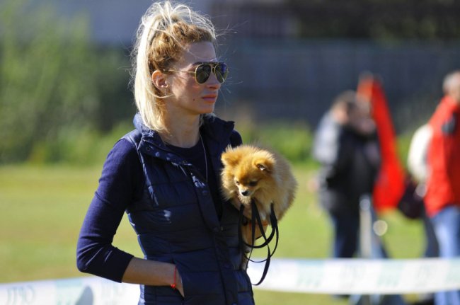 Луцький фотограф поділився світлинами з виставки собак
