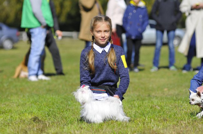 Луцький фотограф поділився світлинами з виставки собак