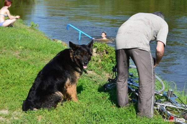 Місто, річка, сонце: у Луцьку стартував купальний сезон. ФОТО