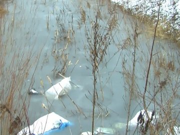У Луцьку берег Стиру забруднюють будівельним сміттям. ВІДЕО