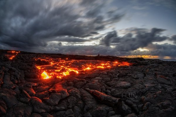 20 кадрів неймовірної природи. ФОТО