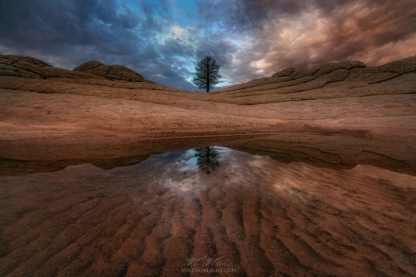 20 кадрів неймовірної природи. ФОТО