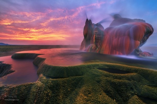 20 кадрів неймовірної природи. ФОТО