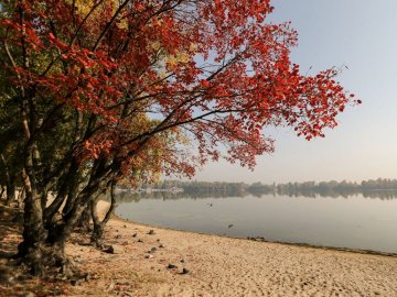 Погода в Луцьку та Волинській області на вівторок, 4 вересня