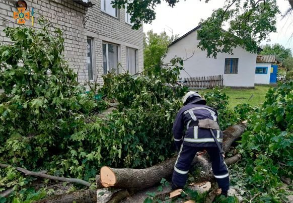 У селі на Волині негода повалила дерева. ФОТО