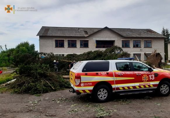 У селі на Волині негода повалила дерева. ФОТО