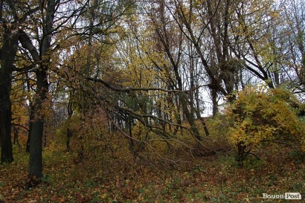 Парк у Луцьку: осіння краса і людська байдужість. ФОТО