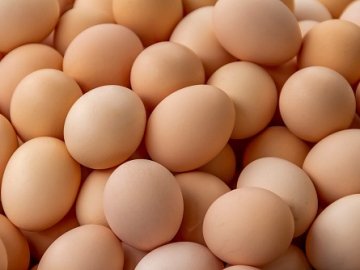 Як потрібно вибирати яйця – розкриваємо ключові секрети