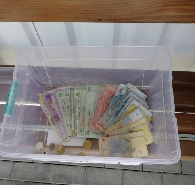 У селі на Волині діти організували збір коштів на автомобіль для військових