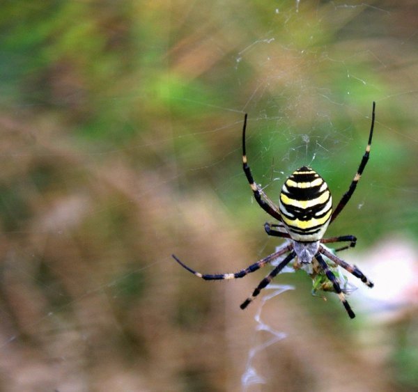 Фотовиставка Катерини Мазурець