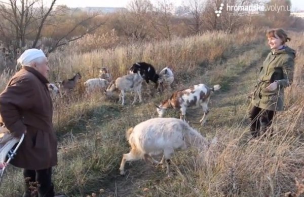 Лучанка вважає, що краще пасти кіз, ніж воювати. ВІДЕО
