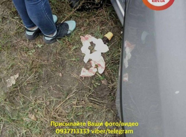 Під Києвом Tesla влетіла у Skoda. ФОТО