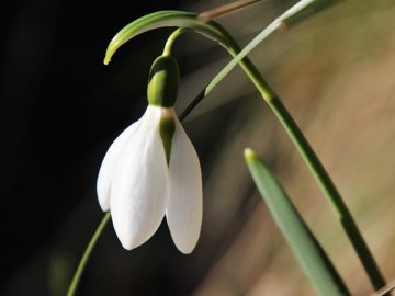 Погода в Луцьку та Волинській області на неділю, 4 квітня