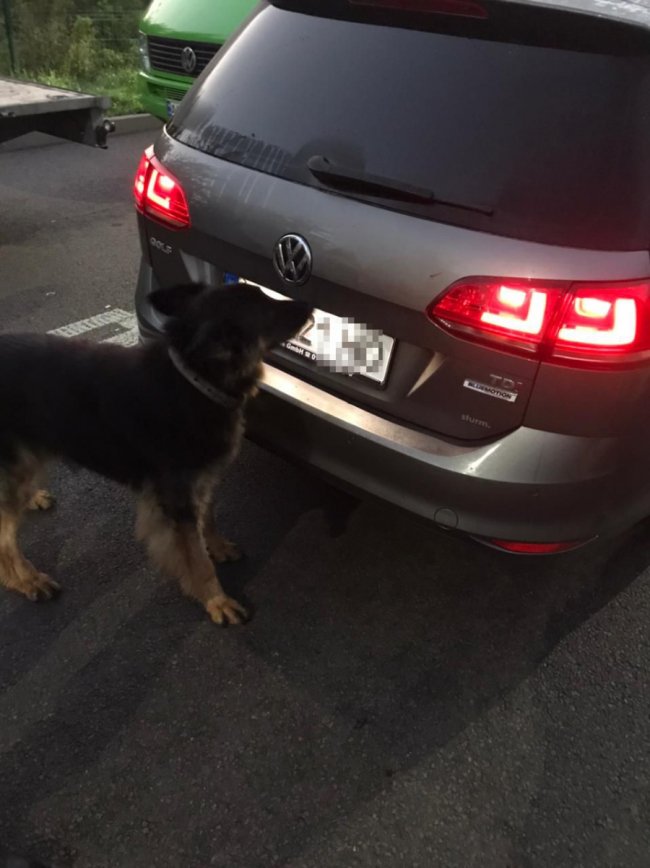 В «Устилузі» виявили набої до рушниці. ФОТО