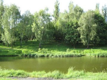 Лучан просять допомогти із облагородженням локації, де невдовзі з’явиться друга «Венеція»  