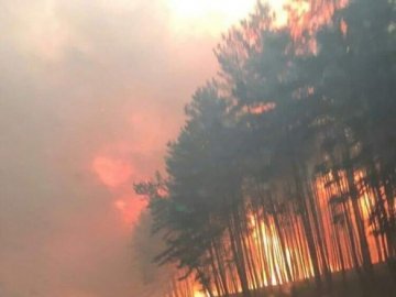 На Луганщині вирує масштабна пожежа: є загиблі і багато травмованих. ФОТО. ВІДЕО