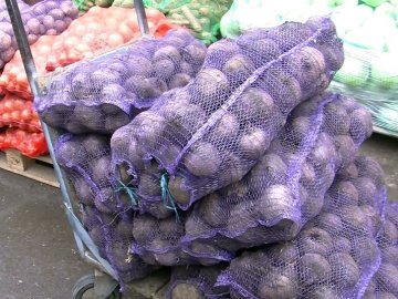 Підготовка до зими: скільки овочів зібрали на Волині. ВІДЕО