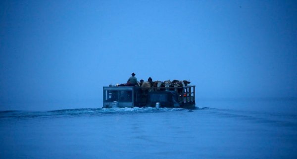 Кращі фото 2012 року