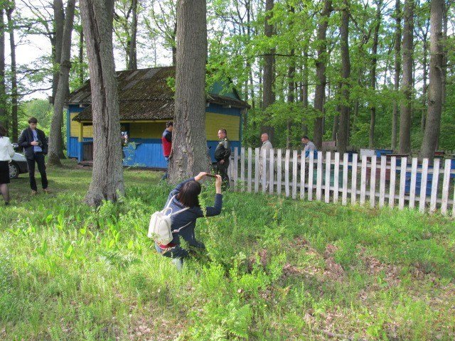 Розповіли про особливості співпраці лісівників та громад волинського прикордоння
