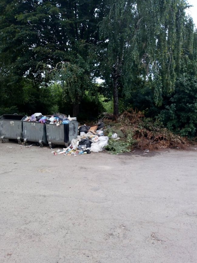 Звозять з цілого мікрорайону: у луцькому дворі - сміттєзвалище. ФОТО