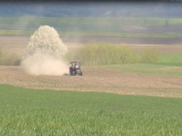 Через посуху волинські фермери можуть втратити частину урожаю. ВІДЕО