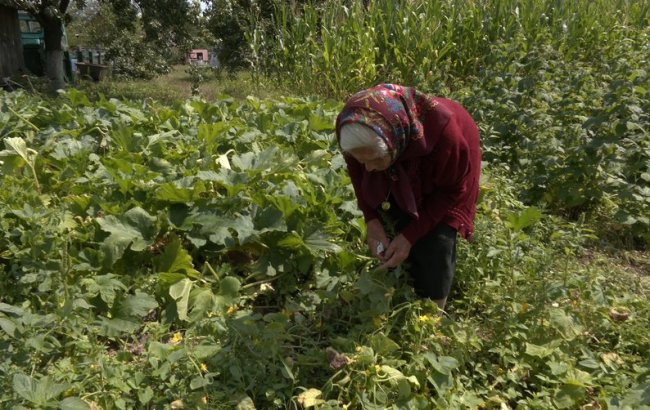 Столітня волинянка читає газети, годує курей і пере одяг руками. ВІДЕО