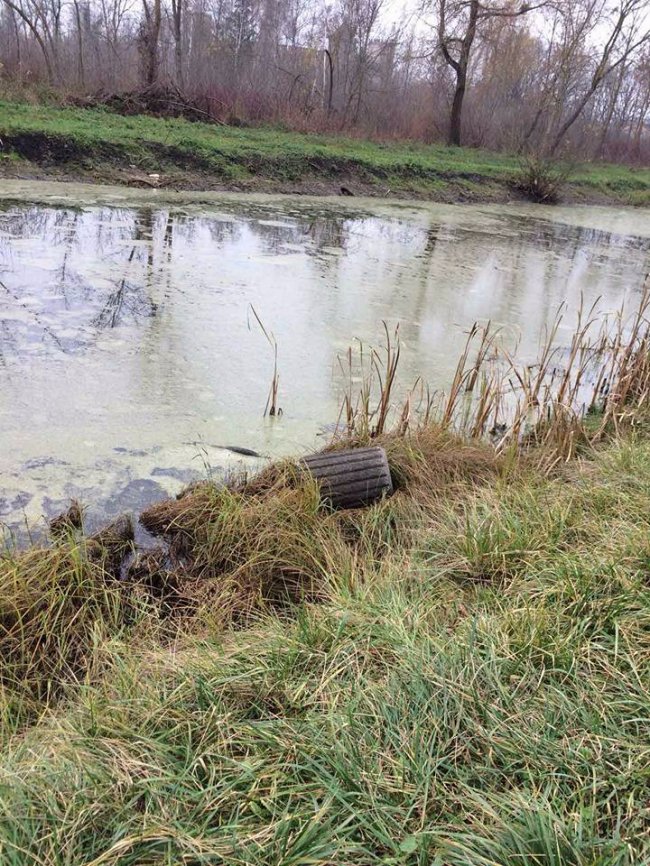 Муніципали показали, як виловлювали смітники з канави. ФОТО