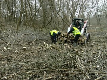 У Луцьку розчищають зелену зону біля центрального парку. ФОТО