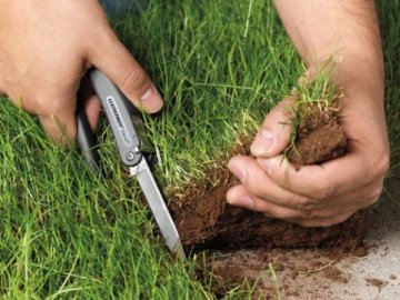 На Волині побоюються навали земельних рейдерів