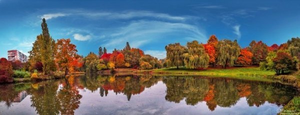 «Золота осінь» у луцькому парку. ФОТО