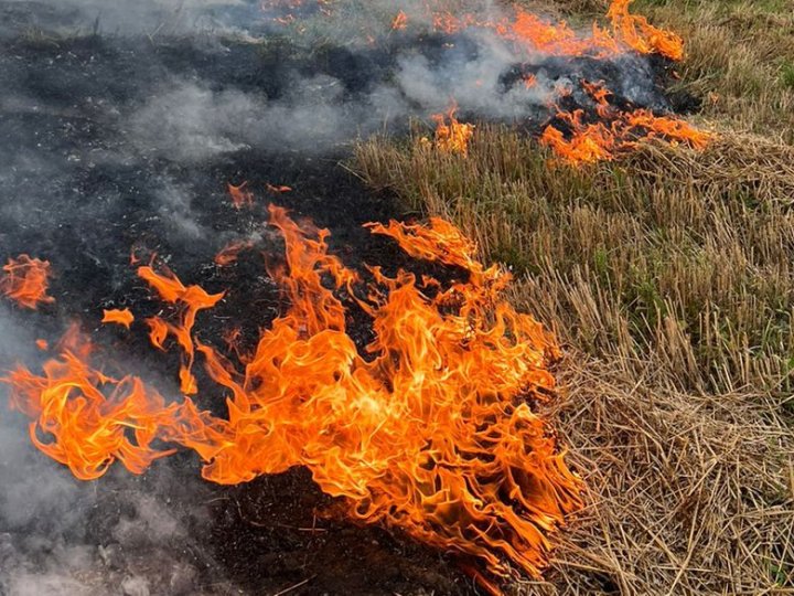 Скількох волинян оштрафували за спалювання сухої трави