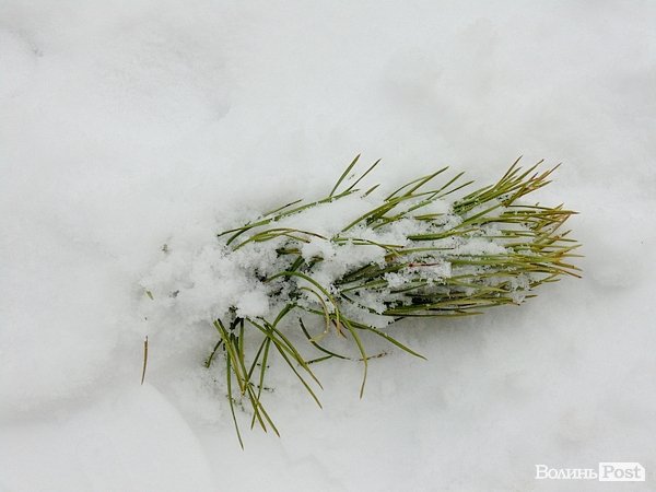 Луцьк засипало снігом. ФОТО