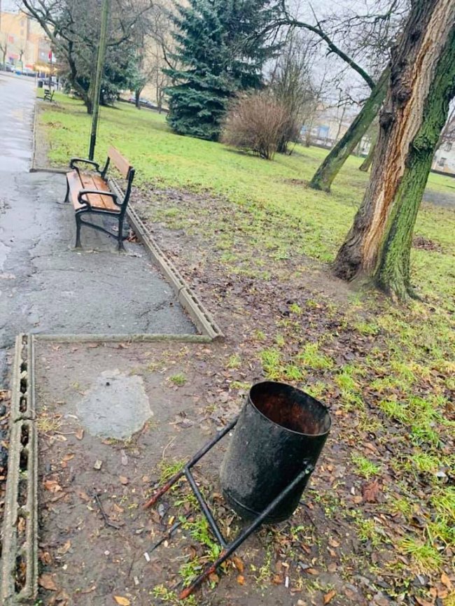 У місті на Волині можуть покарати директора комунального підприємства через безлад у парку