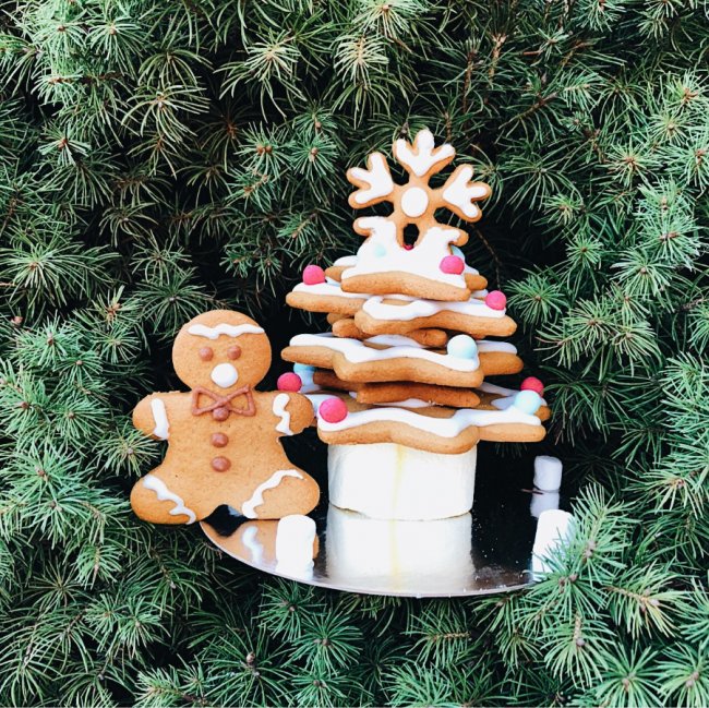 Лучан кличуть на новорічні майстер-класи від «Смугастого носорога»*