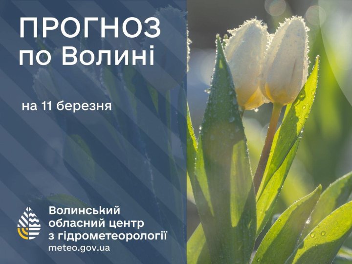 Якою буде погода у Луцьку та на Волині 11 березня