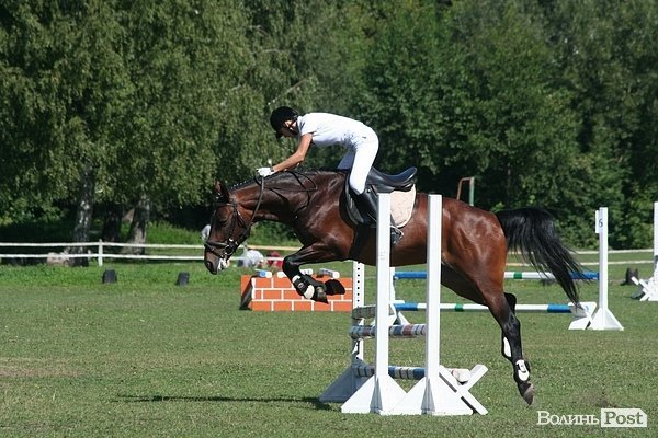 Красуні-вершниці і козаки-екстремали: у Луцьку пройшли кінно-спортивні змагання. ФОТО