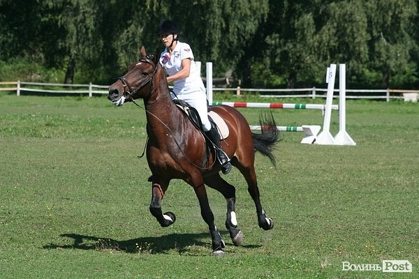 Красуні-вершниці і козаки-екстремали: у Луцьку пройшли кінно-спортивні змагання. ФОТО