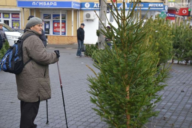 Скільки коштують живі ялинки та сосни на Старому ринку