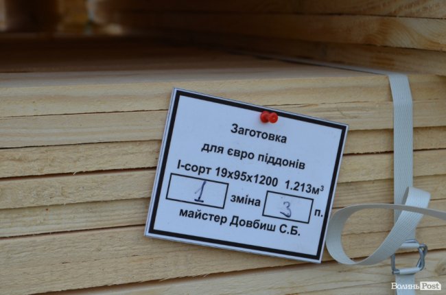 Як на Волині функціонує одне із найпотужніших деревосушильних господарств. ФОТО