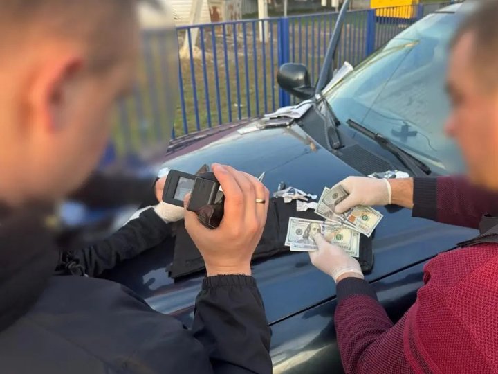 Бізнес на гуманітарці: керівник ГО на Волині ввіз 300 автівок та заробив 22 мільйони