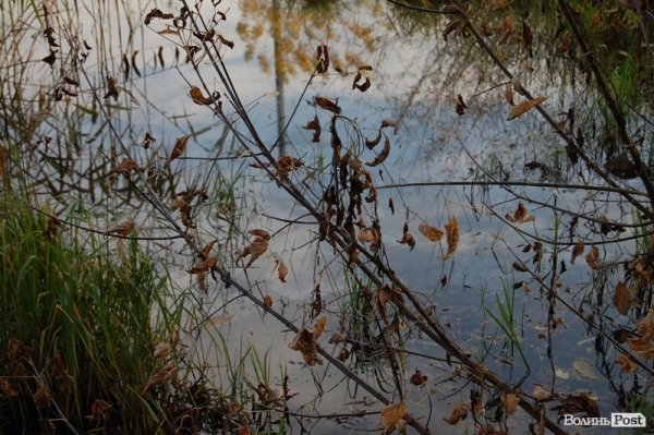 Як у Луцьку зачистили стихійне сміттєзвалище, уникнувши криміналу. ФОТО