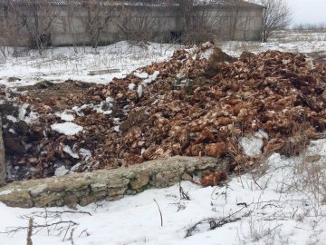 Господар-садист заморив голодом 80 тисяч курей