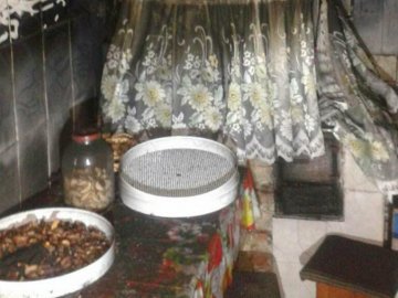 Згоріла техніка і стіни: подробиці пожежі на Волині. ФОТО