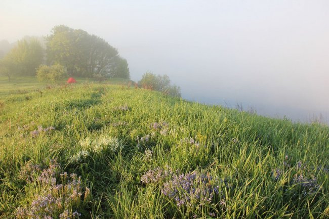 Простори та краєвиди Хрінницького водосховища. ФОТО