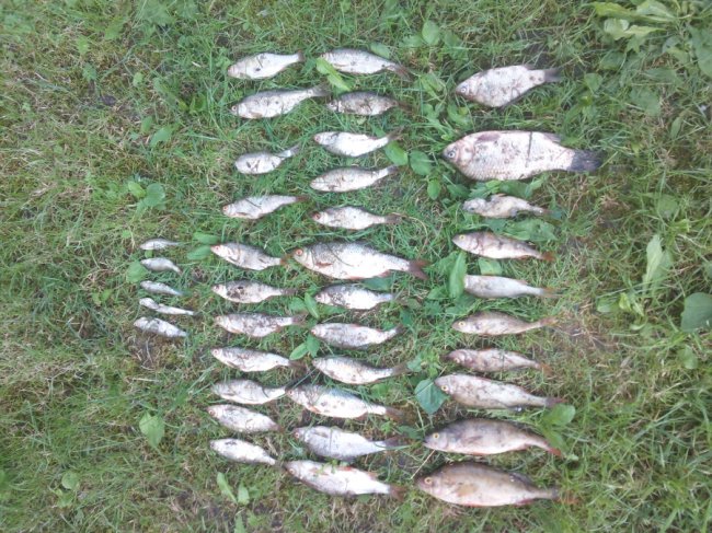 Чинив опір та шарпав інспектора за одяг: на Волині затримали рибного браконьєра