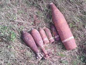 На Волині піротехніки знищили боєприпаси, знайдені у лісі 