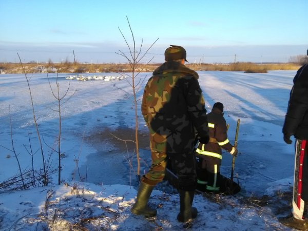 На Волині рятувальники звільнили з крижаного полону 45 лебедів