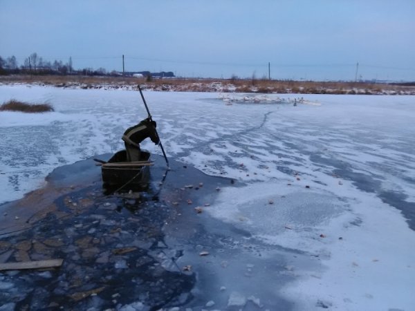 На Волині рятувальники звільнили з крижаного полону 45 лебедів