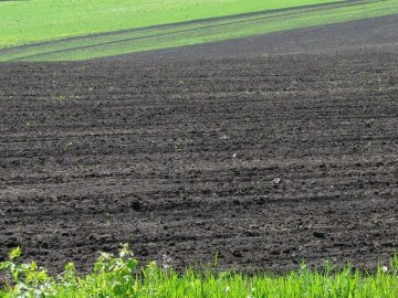 На Волині підприємству повернули землю, вартістю 1,2 мільярда гривень